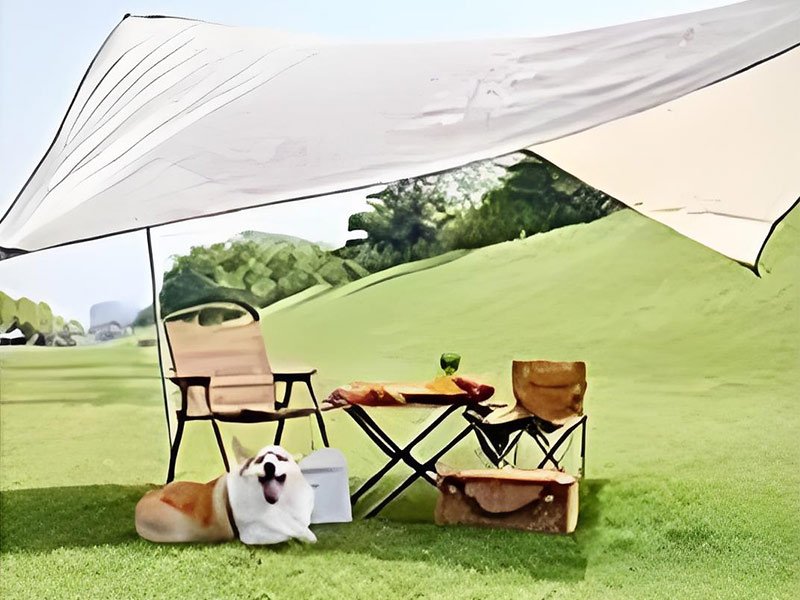 outdoor camping picnic canopy scene