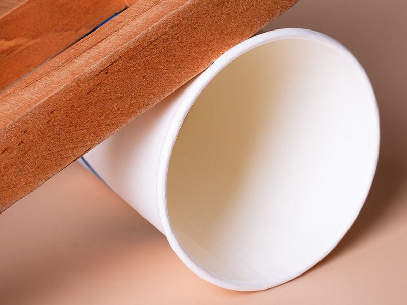 paper cup interior view