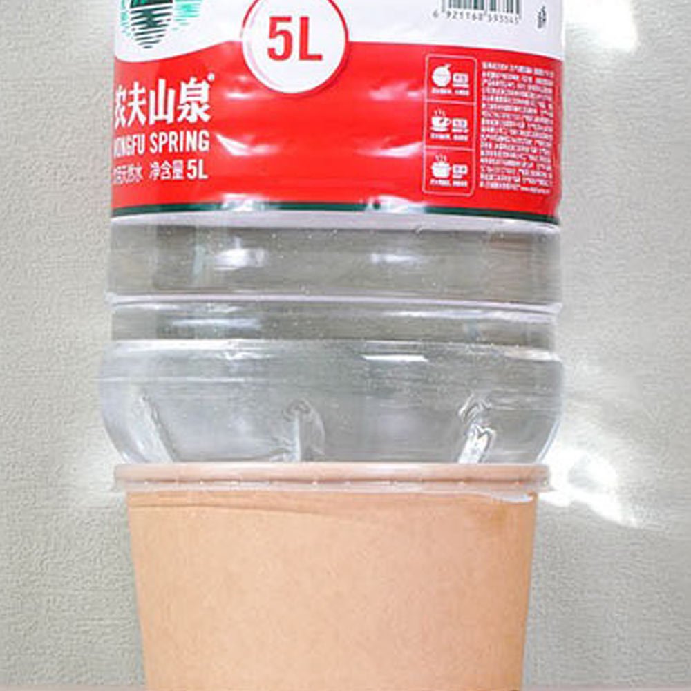 sturdy paper bowl weight test